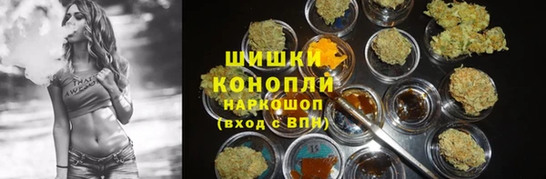 твердый Рославль
