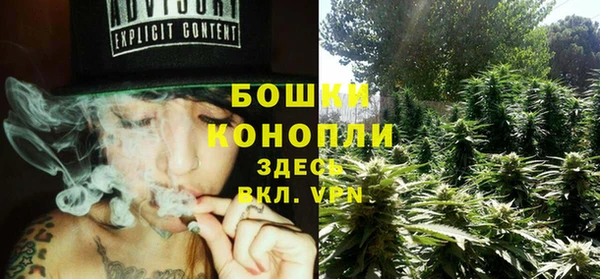 амф Новозыбков