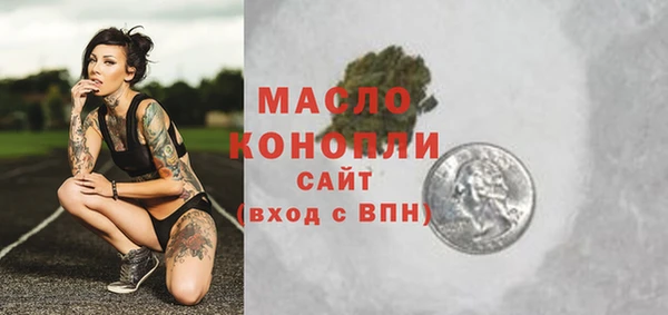 амф Новозыбков
