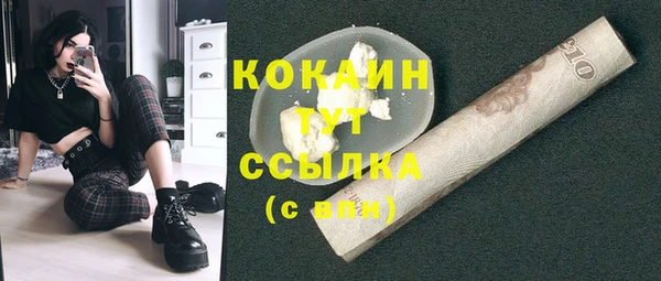 амф Новозыбков