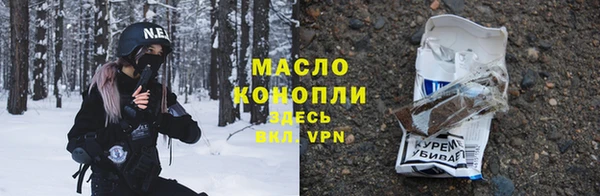 амф Новозыбков