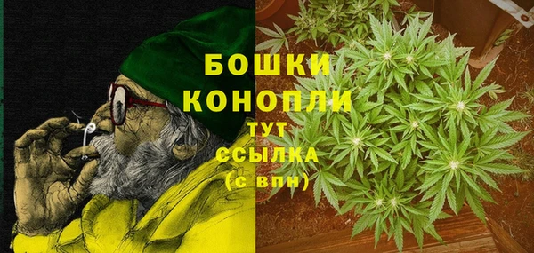 амф Новозыбков