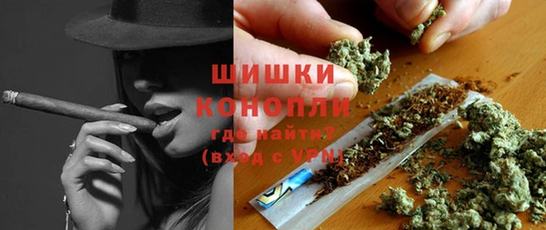 амф Новозыбков