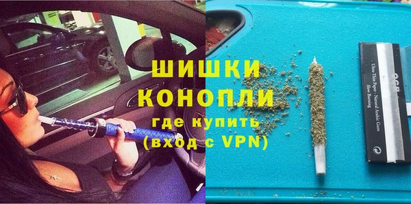 амф Новозыбков