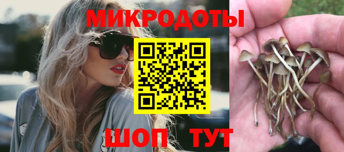 Галлюциногенные грибы MAGIC MUSHROOMS  Вход с VPN  купить   Обнинск 