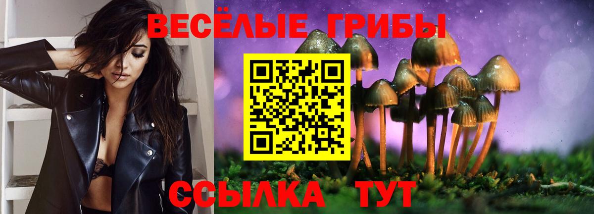 Галлюциногенные грибы GOLDEN TEACHER Обнинск